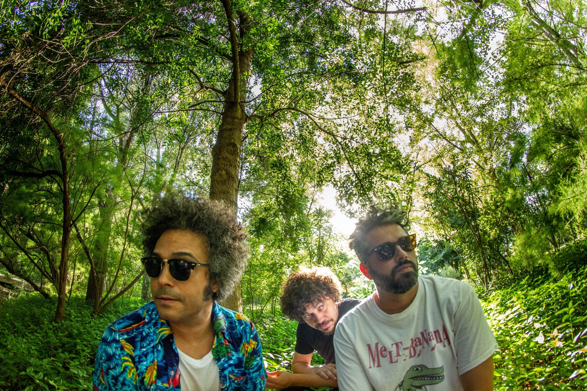 Jupiter Lion regresa con «We Will Lose Gracefully»