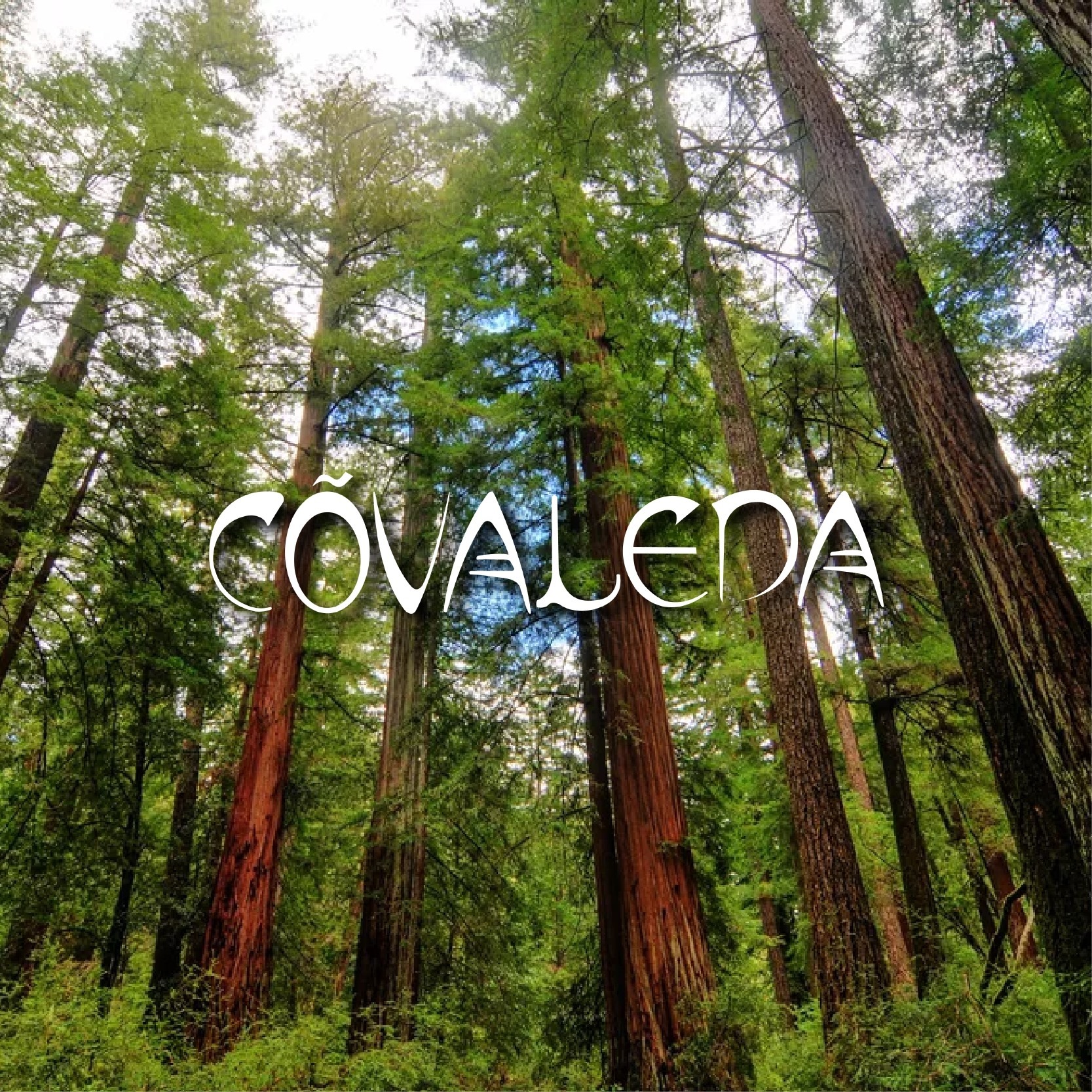 Covaleda Fest anuncia a Feid, Natalia Lacunza, Beny Jr, Paranoid 1966 y Ly Raine como nuevas confirmaciones